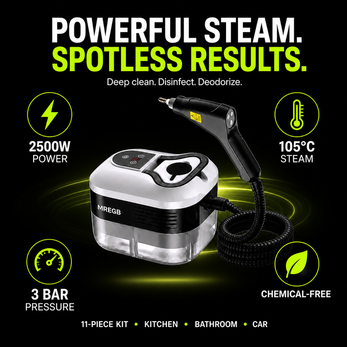 Handheld Steam Cleaner